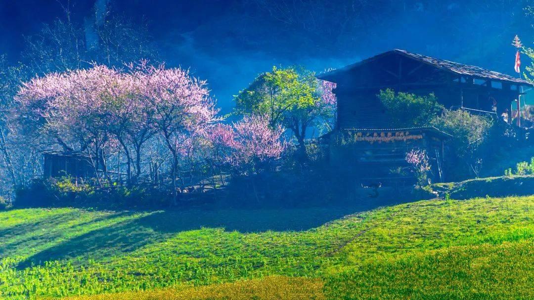 幽浮2