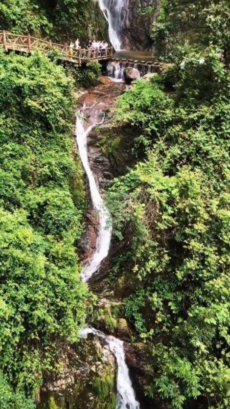 阿凯历险记